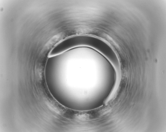 X0000088910452200706221933