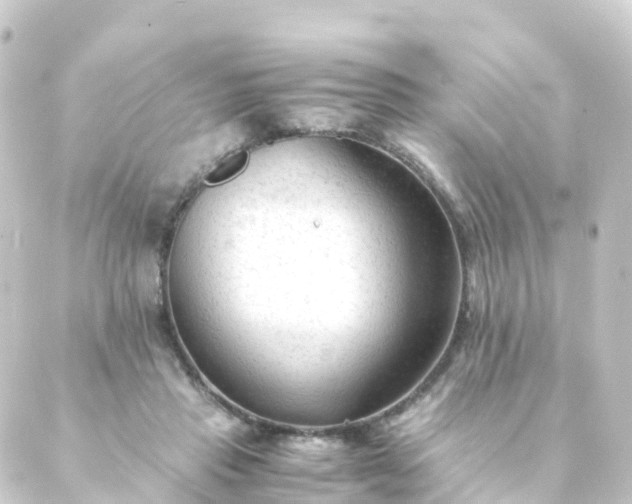 X0000088910453200706221933