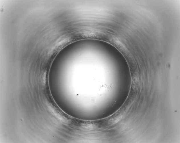 X0000088910454200706221934