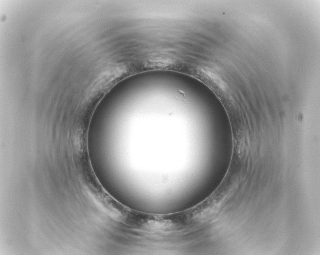 X0000088910455200706221934