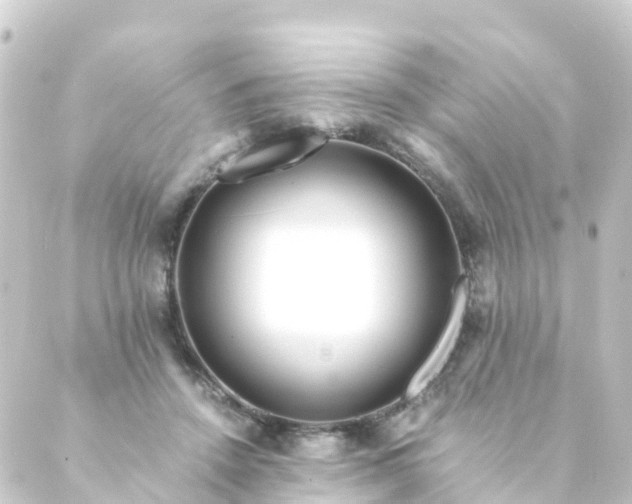 X0000088910456200706221934