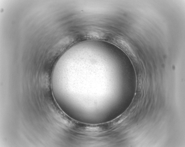 X0000088910457200706221934