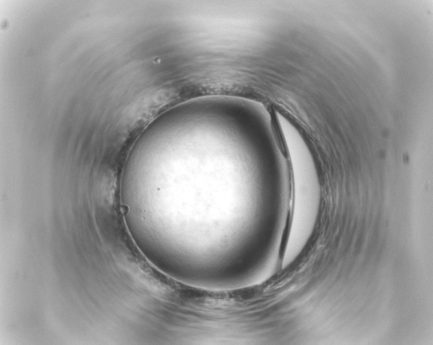 X0000088910458200706221934