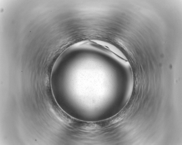 X0000088910459200706221934