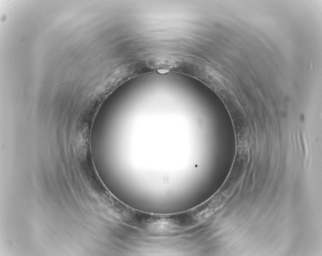 X0000088910460200706221934