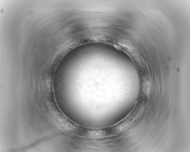 X0000088910461200706221934