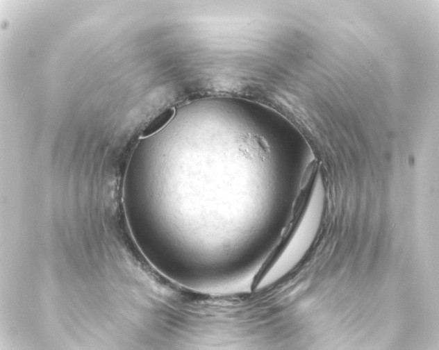 X0000088910462200706221934