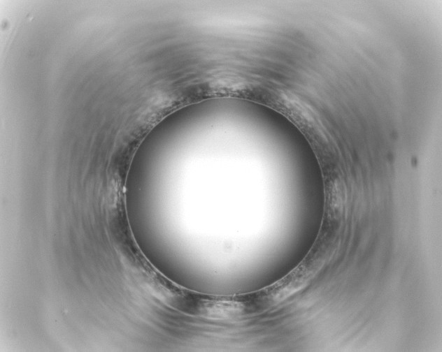 X0000088910463200706221934