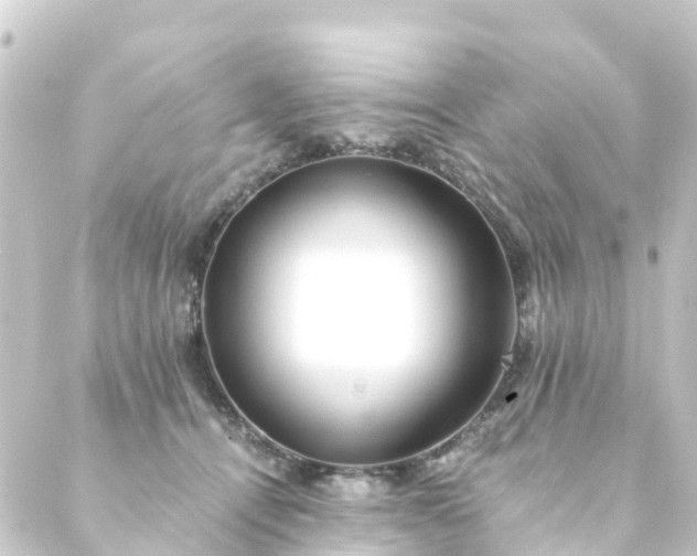 X0000088910464200706221934