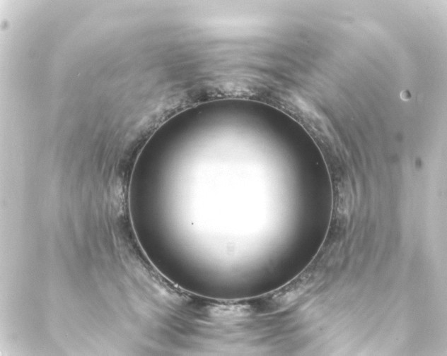 X0000088910465200706221934