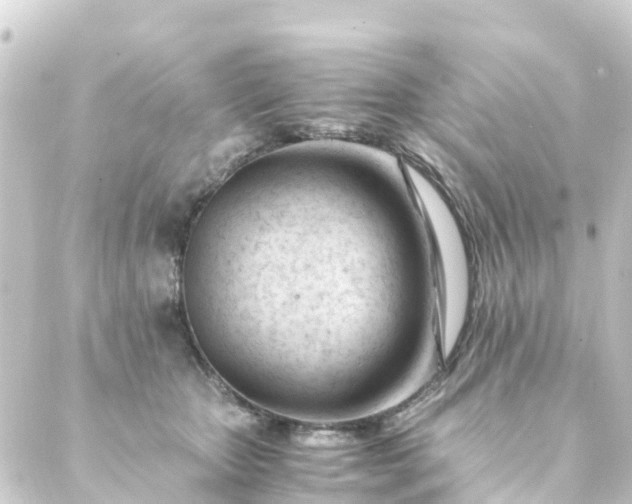 X0000088910467200706221934