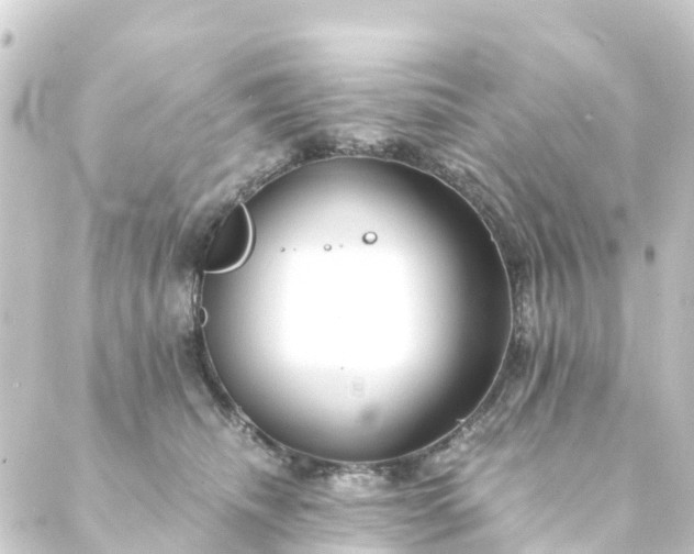 X0000088910468200706221934