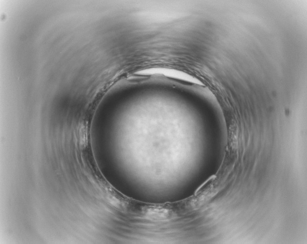 X0000088910471200706221934