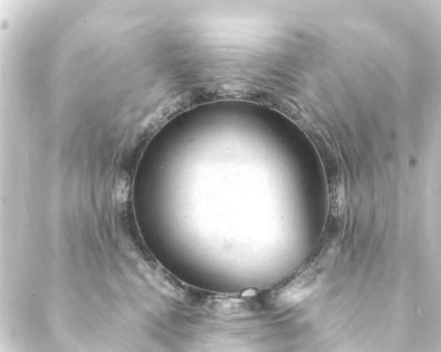 X0000088910472200706221934