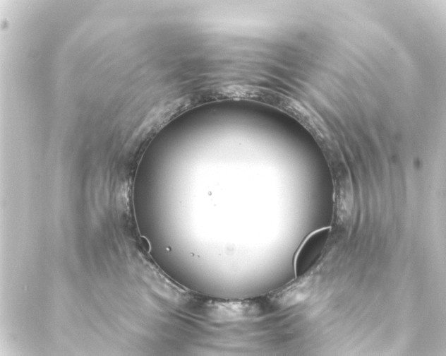 X0000088910473200706221934