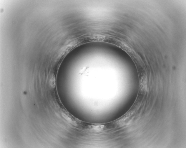 X0000088910474200706221934