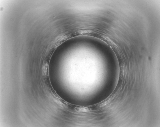 X0000088910475200706221934