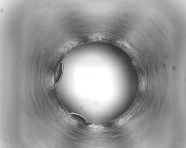 X0000088910477200706221934