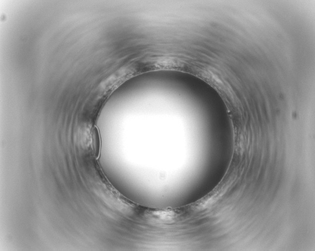 X0000088910478200706221934