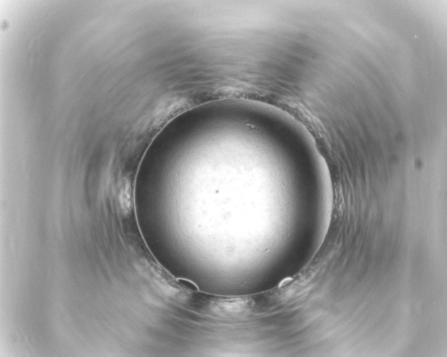 X0000088910479200706221934