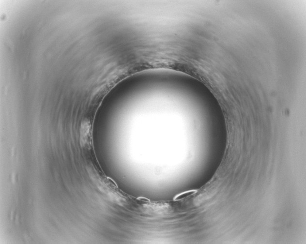 X0000088910480200706221934