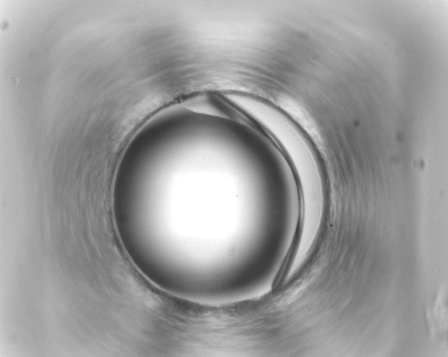 X0000088910481200706221933