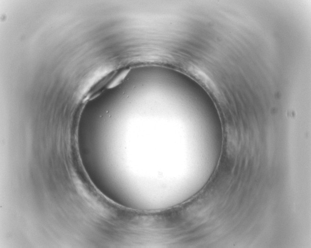 X0000088910482200706221933