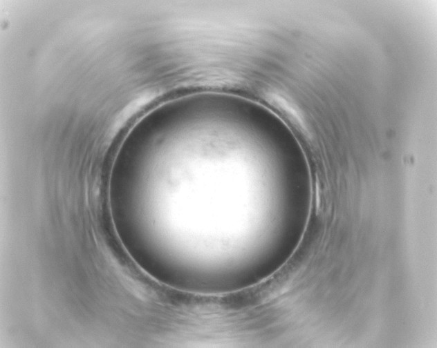 X0000088910483200706221933