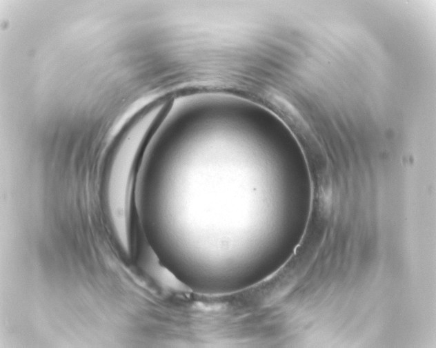 X0000088910484200706221933