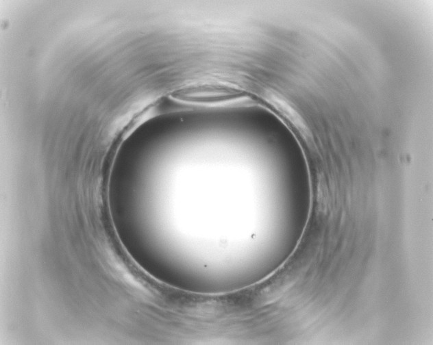 X0000088910485200706221933