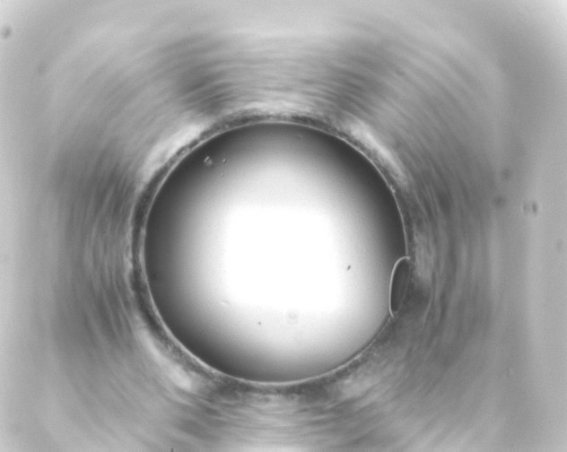 X0000088910486200706221933