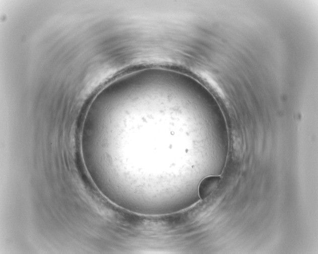 X0000088910487200706221933