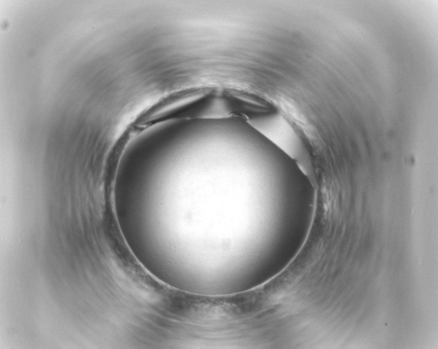 X0000088910488200706221933