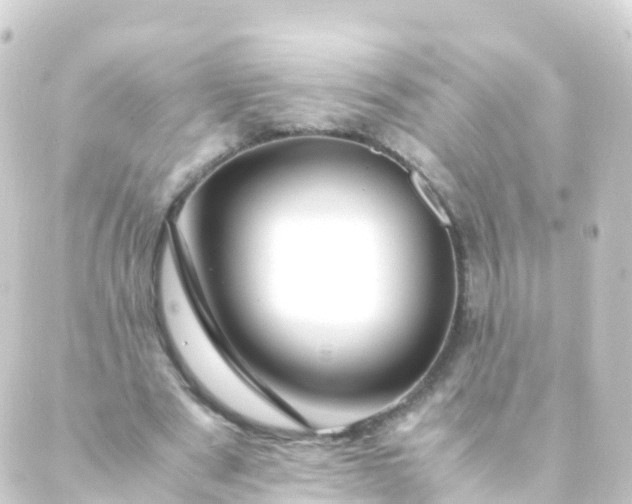 X0000088910489200706221933