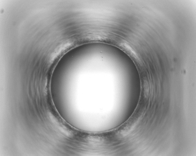 X0000088910490200706221933