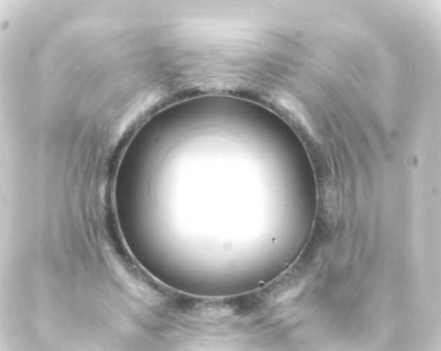 X0000088910491200706221933