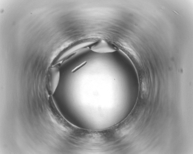 X0000088910492200706221933