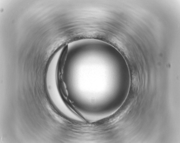 X0000088910493200706221933