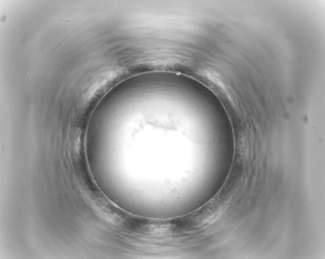 X0000088910495200706221933