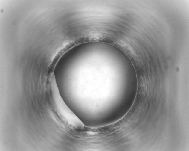 X0000088910496200706221933