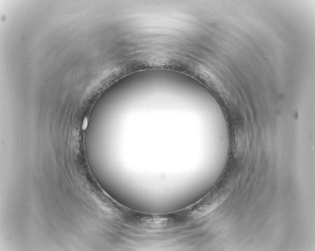 X0000088910497200706221933