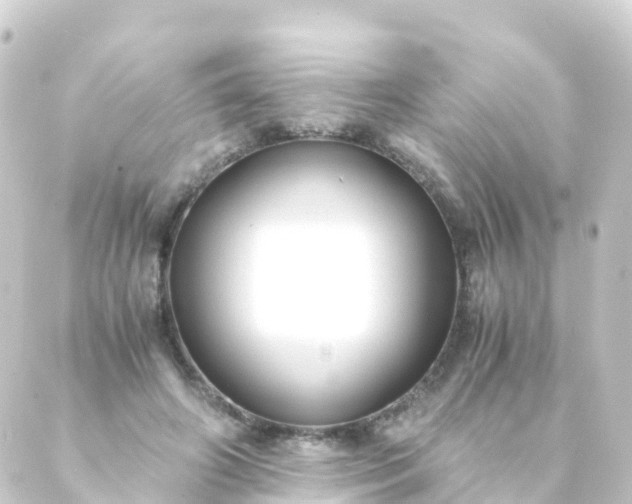 X0000088910498200706221933