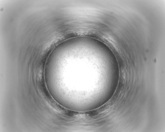 X0000088910499200706221933