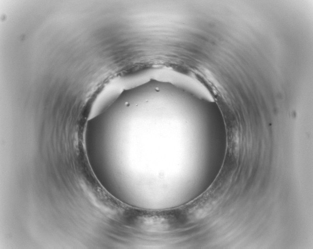 X0000088910500200706221933