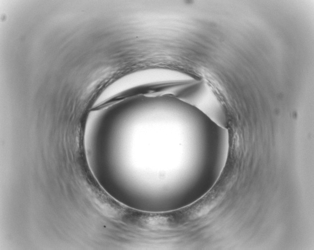 X0000088910501200706221933