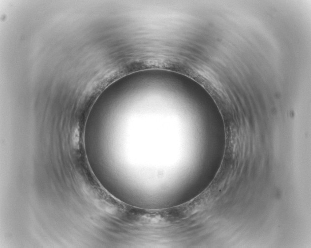 X0000088910502200706221933