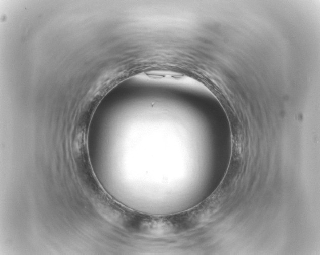 X0000088910503200706221933