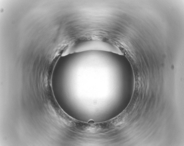 X0000088910504200706221933