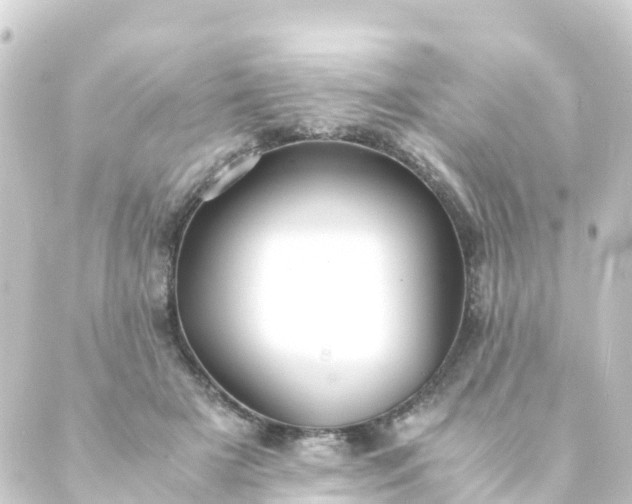 X0000088910505200706221933