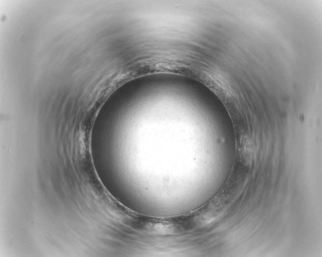 X0000088910506200706221933